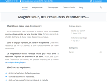 Tablet Screenshot of magnetiseur91.com
